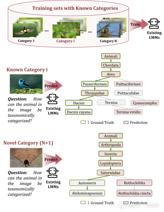 精准识别「界门纲目科属种」!北大彭宇新团队用细粒度树先验提升泛化,破解生物类别分层识别难题