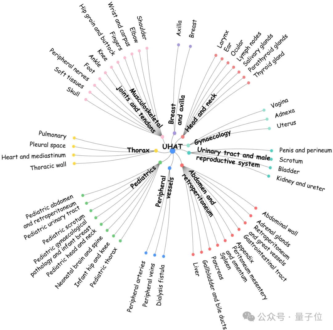 36.4万超声图文对!中国团队构建首个大规模超声专属数据集,让AI真正读懂临床诊断语义丨CVPR’26