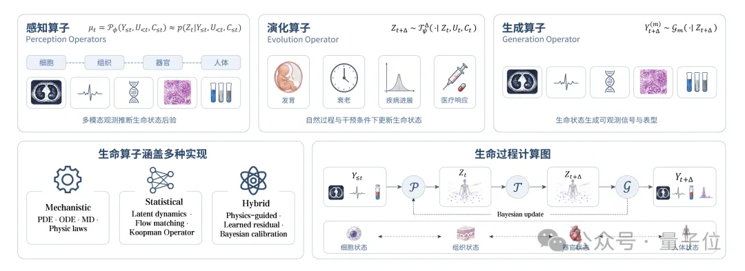 AIVC只是前菜！复旦提出生命算子，统一生命建模